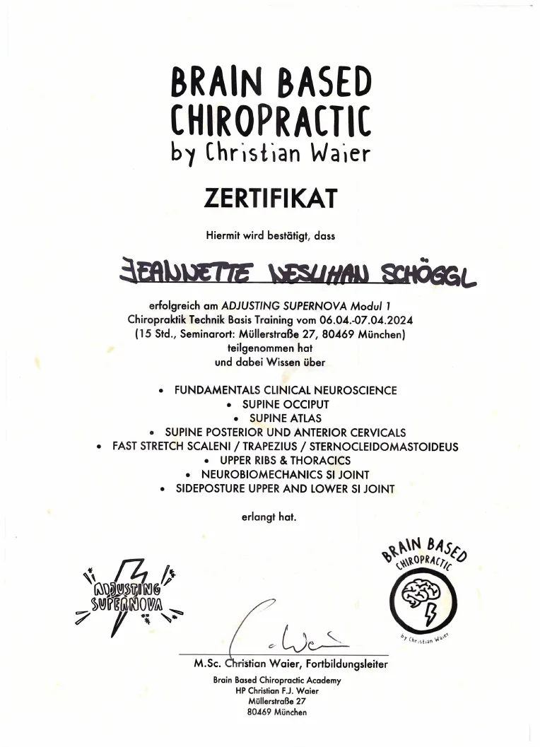 Vorschau des Zertifikats: Adjusting Supernova Modul 1
