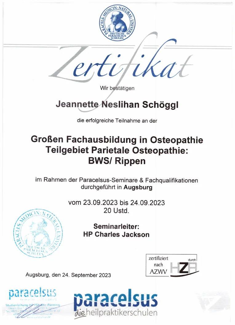 Vorschau des Zertifikats: BWS & Rippen