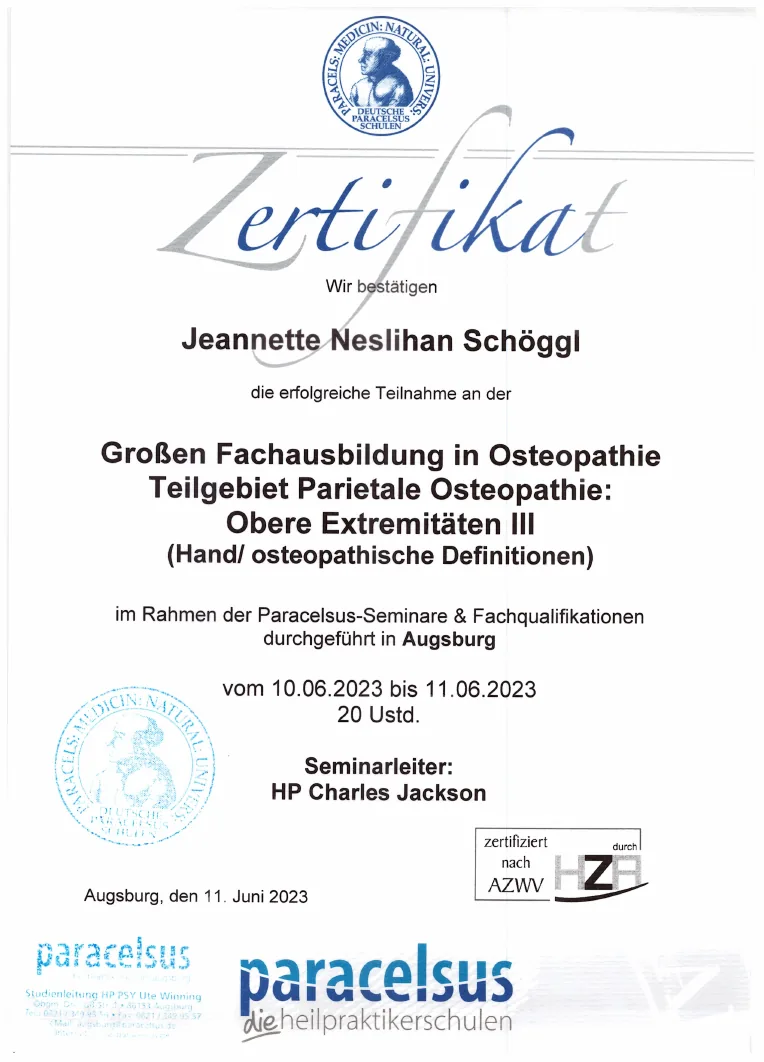 Vorschau des Zertifikats: Obere Extremitäten II