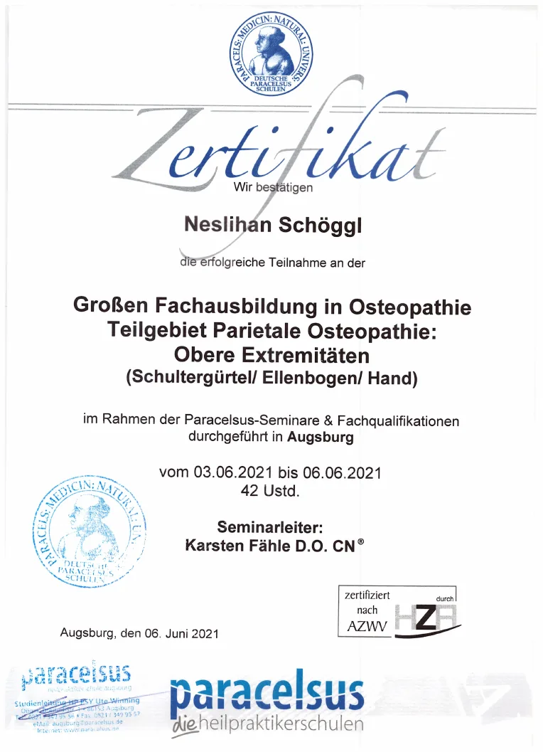 Vorschau des Zertifikats: Obere Extremitäten