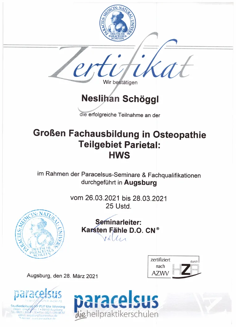 Vorschau des Zertifikats: HWS