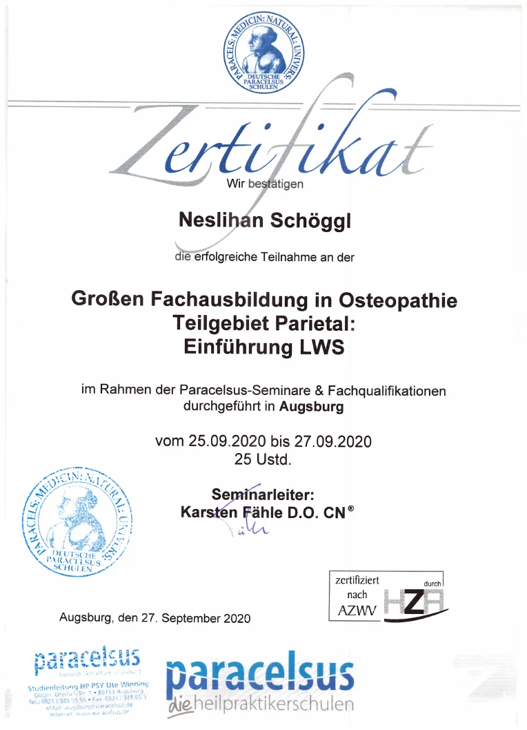 Vorschau des Zertifikats: Einführung LWS