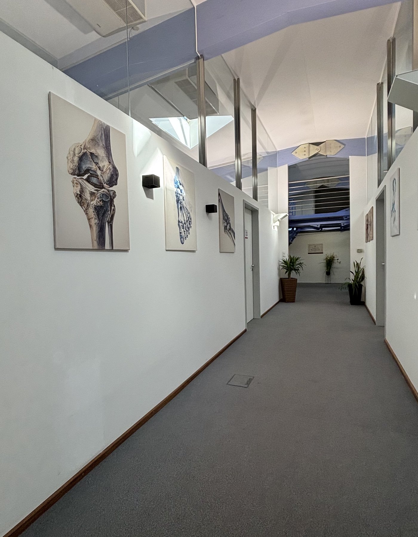 Durchgang mit medizinischen Wandbildern in der Praxis WirbelAktiv
